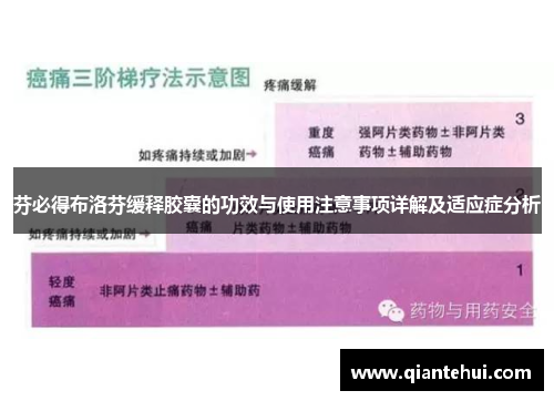 芬必得布洛芬缓释胶囊的功效与使用注意事项详解及适应症分析